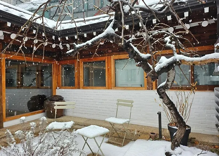 Waahanok * Seul