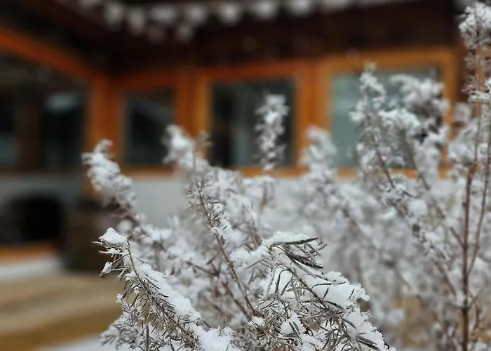 Casa vacanze Waahanok Seul